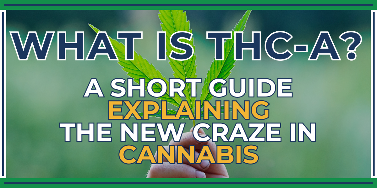 What is THC-A?